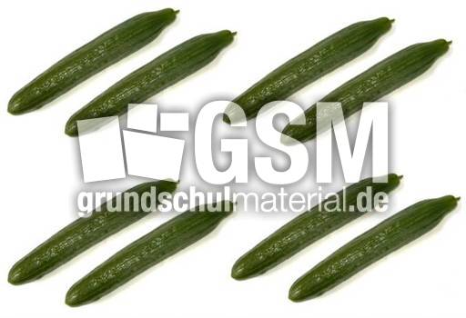 Gurke-4x2.jpg